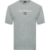 TS-2017SA Double T-Shirts Flama With Graphic Print Pebble Grey